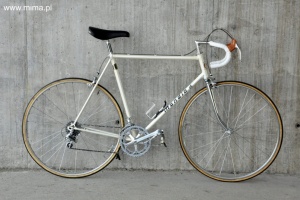 mondia