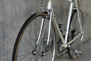 mondia