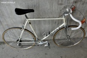 mondia