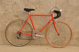 mondia campagnolo 24