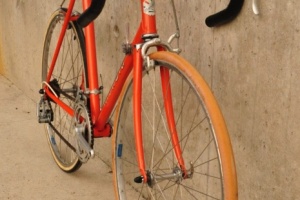 mondia campagnolo 24